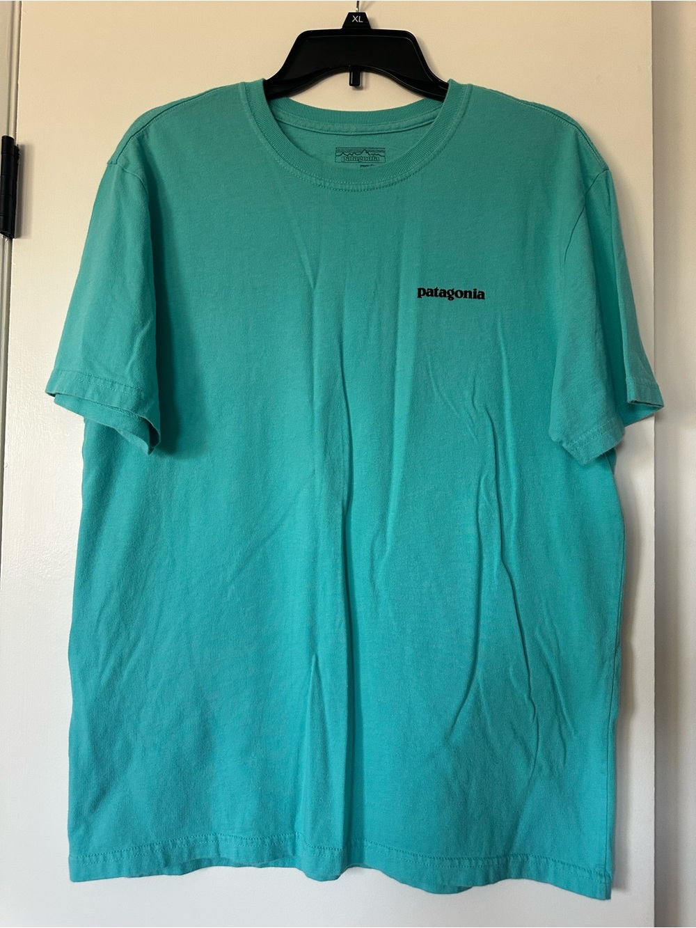 Patagonia Teal Short Sleeve Logo Tee
